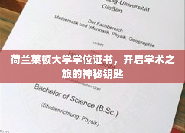 解锁学术殿堂，荷兰莱顿大学学位证书，开启非凡学术之旅