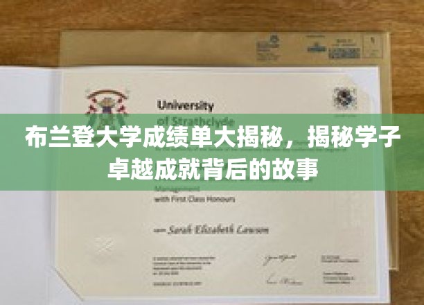 探寻布兰登大学精英学子辉煌成绩背后的成长奥秘