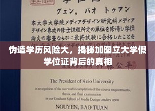学历造假陷阱重重，揭秘加图立大学假证风波背后的惊心故事