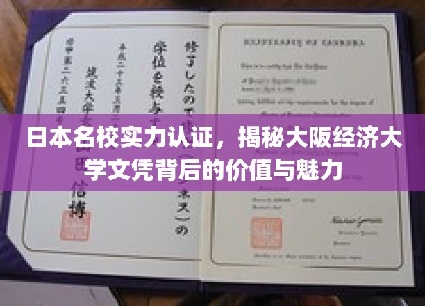 解码大阪经济大学，名校光环下的文凭价值与非凡魅力
