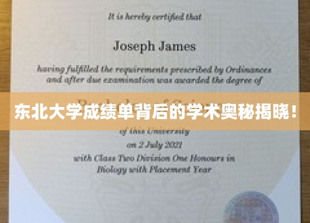 解码东北大学成绩单，探寻学术成就的秘密之门