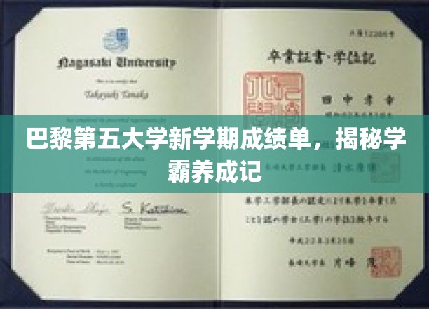 解锁学霸秘籍，巴黎第五大学新学期成绩单背后的学霸养成之路