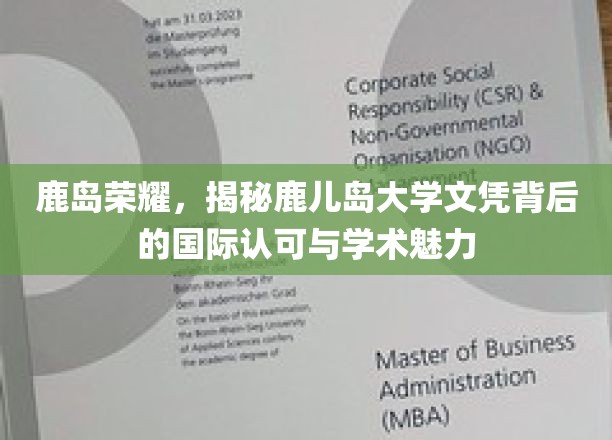 鹿岛之光，探寻鹿儿岛大学国际认可度的璀璨秘密