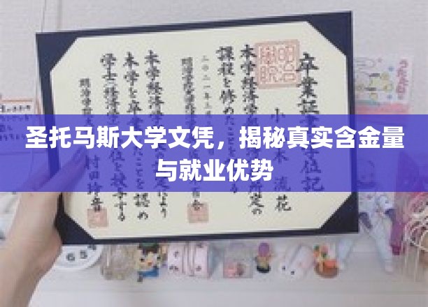 圣托马斯大学文凭，揭秘真实含金量与就业优势