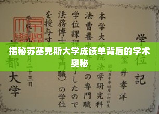 揭秘苏塞克斯大学成绩单背后的学术奥秘