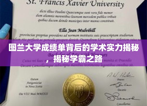 图兰大学成绩单背后的学术实力揭秘，揭秘学霸之路
