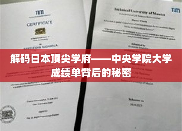揭秘日本顶尖学府——中央学院大学成绩单背后的奥秘