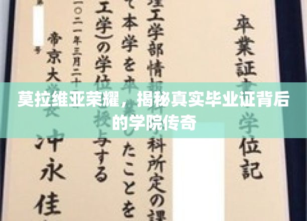 莫拉维亚荣耀之谜，揭开毕业证书背后的传奇学院
