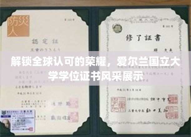 闪耀国际舞台，爱尔兰国立大学学位证书的荣耀风采展