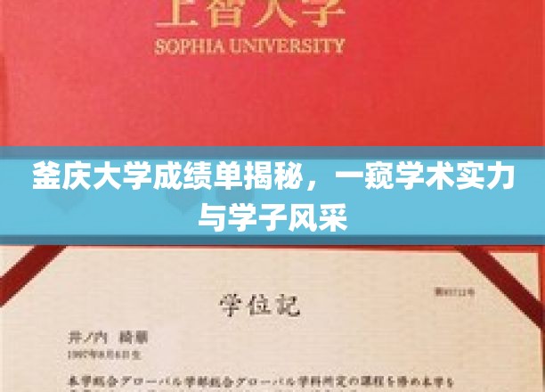 釜庆大学成绩单揭秘，一窥学术实力与学子风采