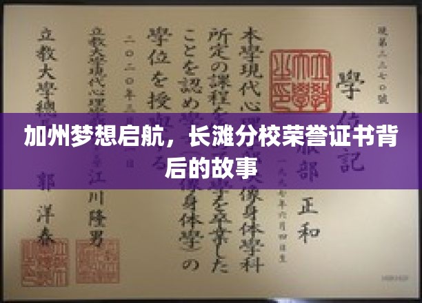 加州梦想启航，长滩分校荣誉证书背后的故事