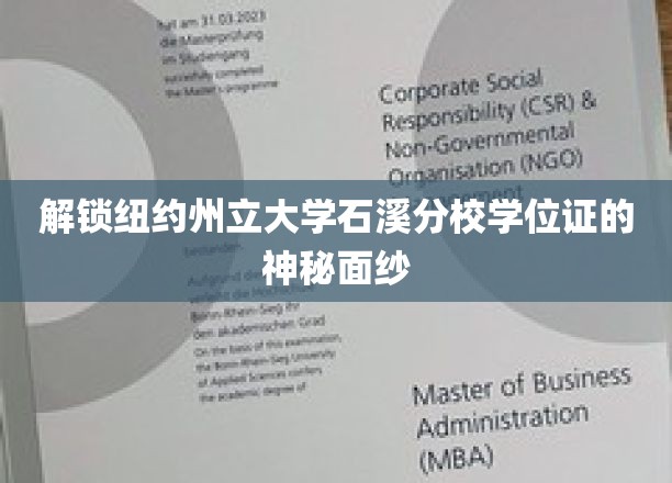 解锁纽约州立大学石溪分校学位证的神秘面纱
