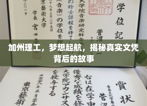 加州理工，梦想起航，揭秘真实文凭背后的故事