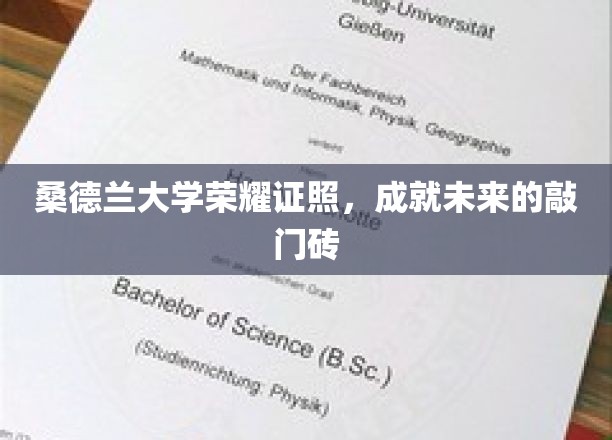 桑德兰荣耀证书，开启未来职场大门的璀璨钥匙