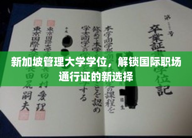 新加坡管理大学学位，打造全球职场精英的黄金钥匙