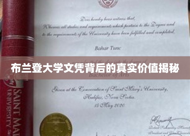 探寻布兰登大学文凭的深层价值与影响力