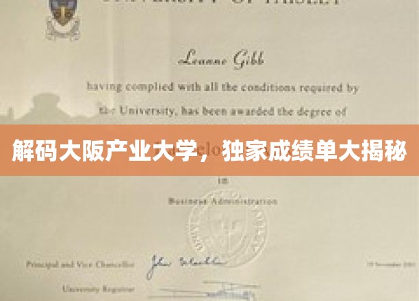 解锁大阪产业大学，揭秘学子成就背后的秘密力量