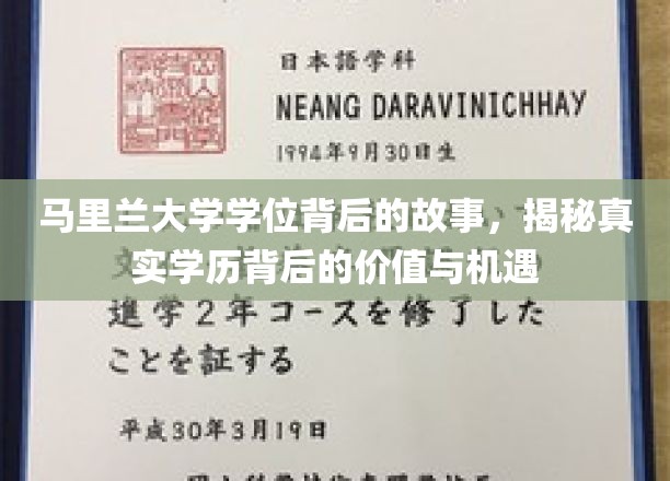 马里兰大学学位背后的故事，揭秘真实学历背后的价值与机遇
