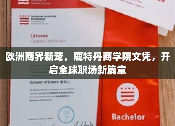 欧洲商界新宠，鹿特丹商学院文凭，开启全球职场新篇章
