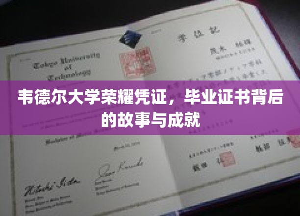 韦德尔荣耀，揭开毕业证书背后的传奇历程与卓越成就