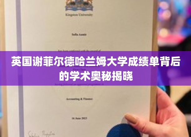 探寻谢菲尔德哈兰姆大学成绩单背后的学术秘密，揭秘非凡学术之路