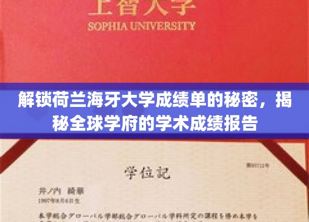 揭开海牙大学成绩单的神秘面纱，探寻国际高等学府的学术真相