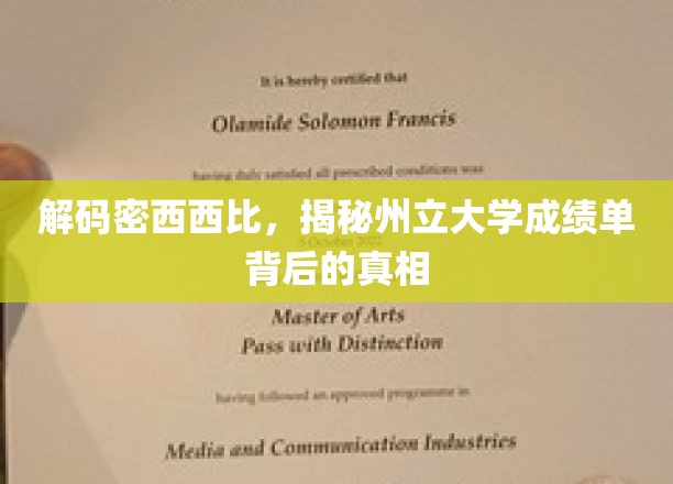 解码密西西比，揭秘州立大学成绩单背后的故事
