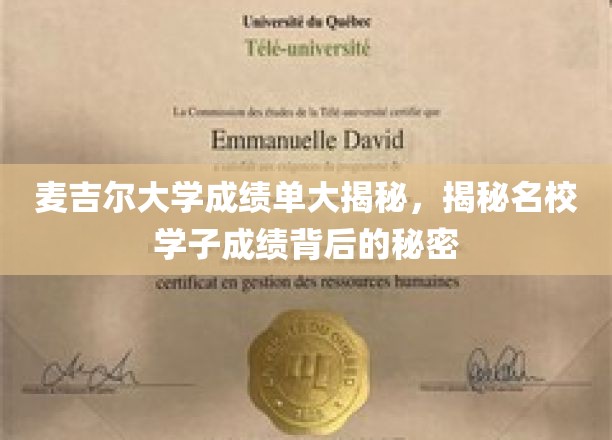 麦吉尔大学成绩单大揭秘，揭秘名校学子成绩背后的秘密