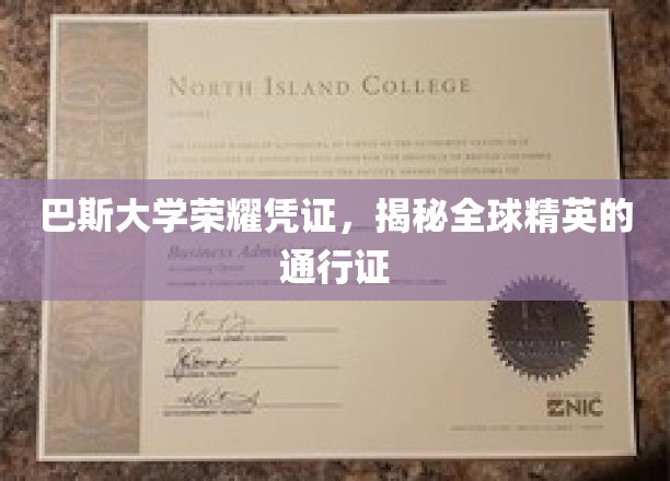 巴斯大学卓越证书，解锁全球精英之旅