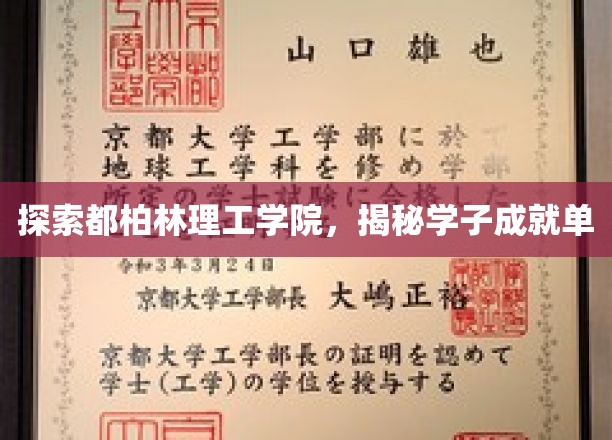 都柏林理工学院风采录，揭秘学子非凡成就之旅