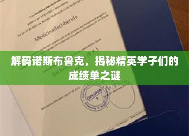破译学霸秘籍，诺斯布鲁克精英学子高分攻略大揭秘