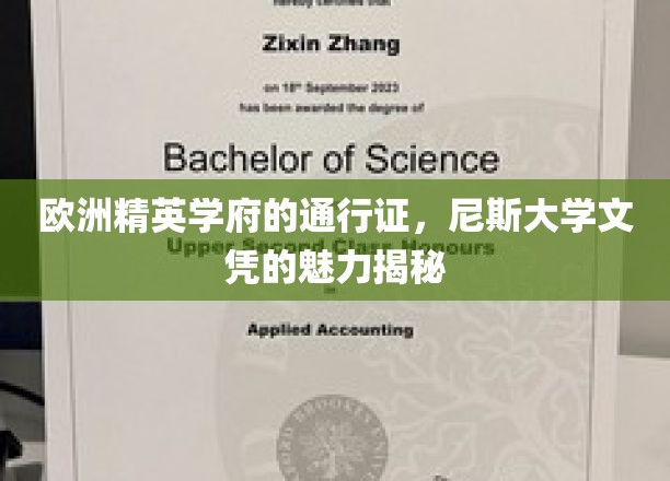 解锁欧洲顶级学府的荣耀钥匙，尼斯大学文凭的独特魅力探秘