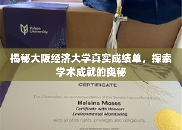 揭开大阪经济大学成绩单之谜，探寻学术卓越的轨迹