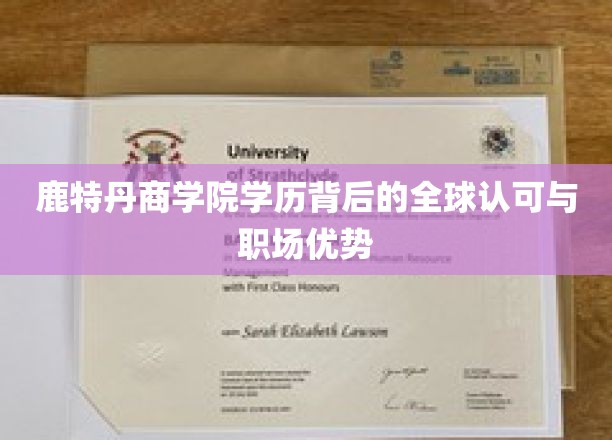 鹿特丹商学院学历，国际通行证，职场赢家必备的全球认可优势