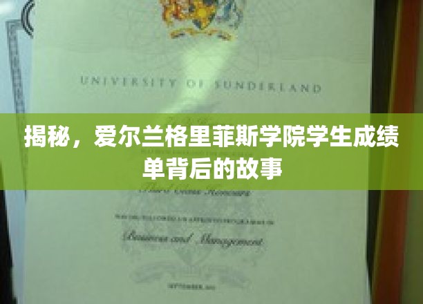 揭开爱尔兰格里菲斯学院成绩单背后的神秘面纱