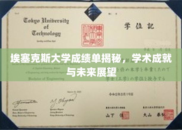 埃塞克斯大学成绩单背后的故事，揭秘学术成就与无限可能