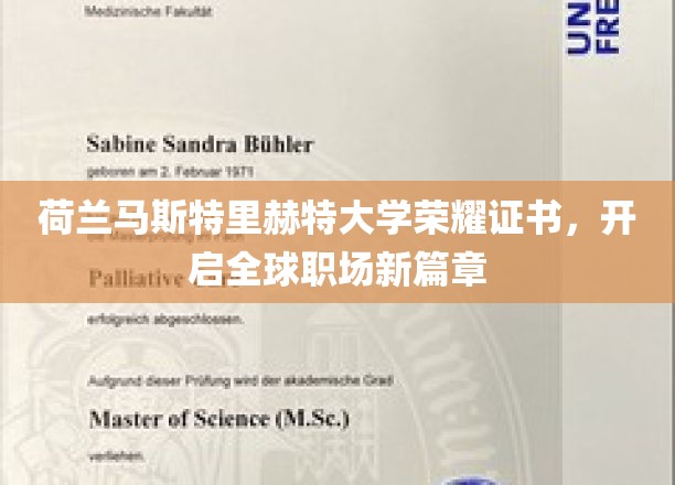 荷兰马斯特里赫特大学荣耀证书，开启全球职场新篇章