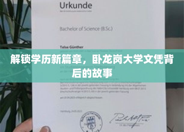 学历新境界揭秘，卧龙岗大学文凭背后的非凡旅程
