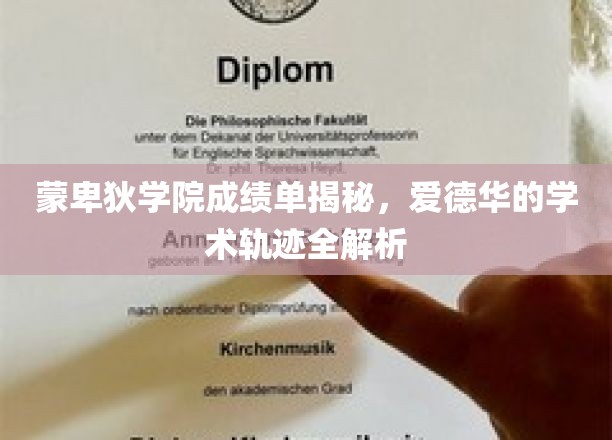 蒙卑狄学院精英档案，爱德华学术成长之路深度剖析