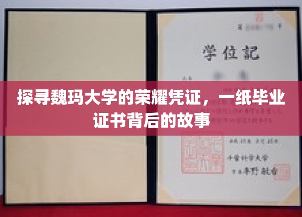 探寻魏玛大学的荣耀凭证，一纸毕业证书背后的故事