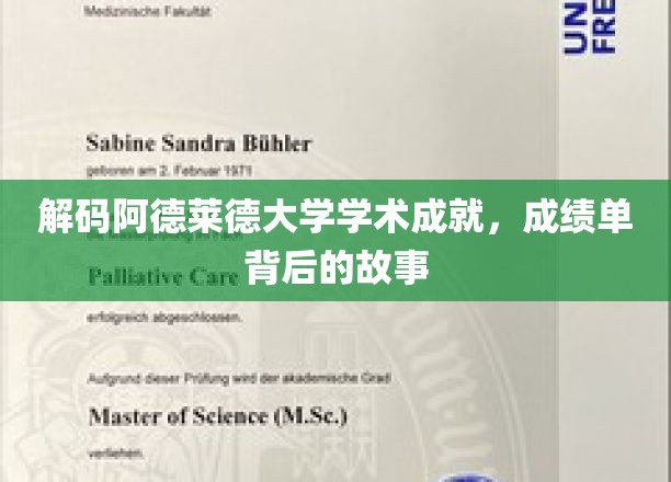 探寻阿德莱德大学卓越背后的学术传奇
