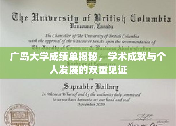 广岛大学成绩单，窥见学子学术成就与成长轨迹
