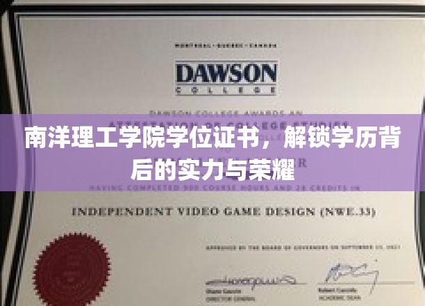 南洋理工学院荣耀解码，学位证书背后的非凡实力