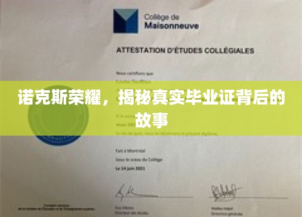 诺克斯荣耀，揭秘真实毕业证背后的故事