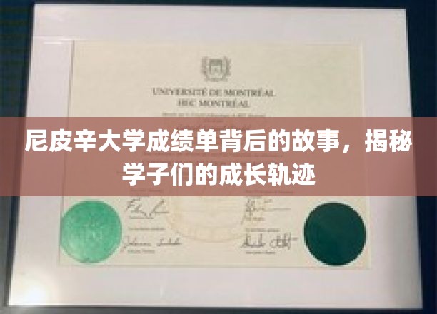 尼皮辛大学成绩单背后，学子成长的秘密花园