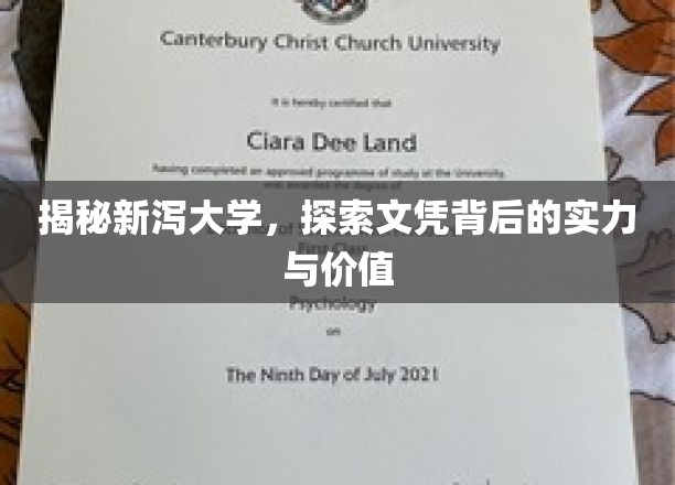 揭秘新泻大学，探索文凭背后的实力与价值