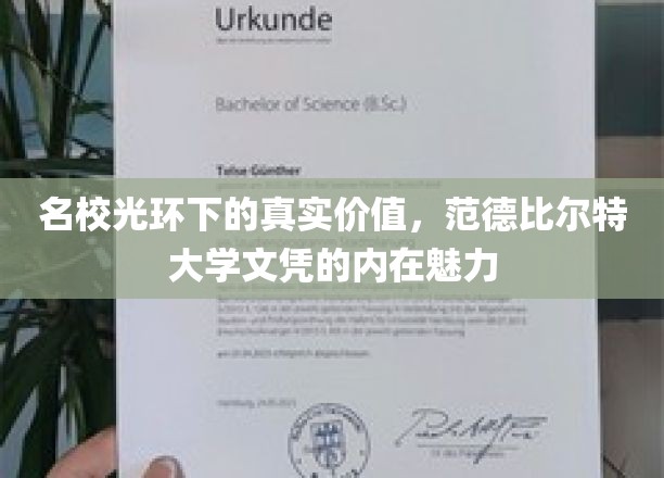 解码藤校荣耀，范德比尔特大学文凭背后的独特魅力