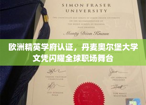 丹麦奥尔堡大学文凭，欧洲精英教育认证，职场舞台上的璀璨明珠
