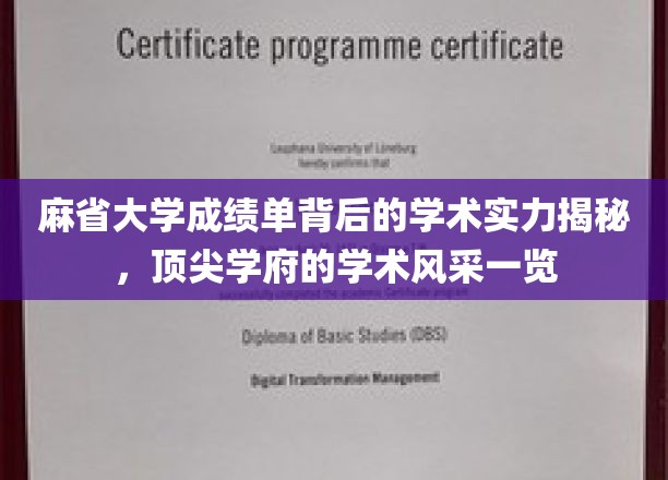 麻省大学成绩单揭示学术底蕴，一窥顶尖学府的学术魅力