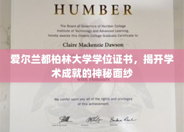 探索爱尔兰都柏林大学学位证书背后的荣耀与智慧